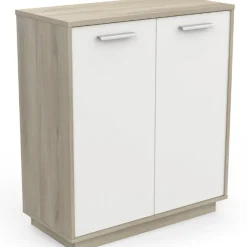 Ablageschrank Leontien 2 Flügeltüren-Kronberg Eiche/Mattweiß