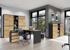 Aktenschrank Miguel mit 2 Türen und 4 Einlegeböden - Anthrazit/Eiche