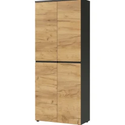 Aktenschrank Miguel mit 2 Türen und 4 Einlegeböden - Anthrazit/Eiche