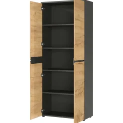 Aktenschrank Miguel mit 2 Türen und 4 Einlegeböden - Anthrazit/Eiche