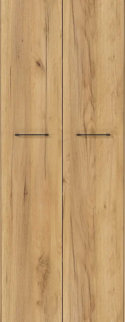 Aktenschrank Robert 196 cm 2 Türen - Anthrazit/Eiche
