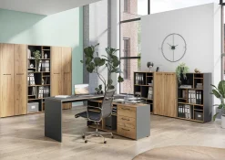 Aktenschrank Robert 196 cm 2 Türen - Anthrazit/Eiche