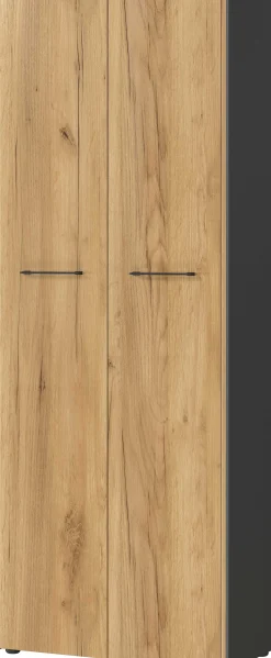 Aktenschrank Robert 196 cm 2 Türen - Anthrazit/Eiche