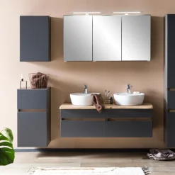 Badezimmerschrank Vikas 1 Tür und 1 Schublade - anthrazit