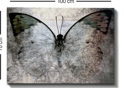 Emob Bract Dekoratives Leinwandbild | Holzrahmen | 70 x 100 cm