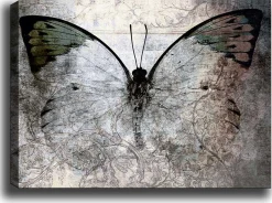 Emob Bract Dekoratives Leinwandbild | Holzrahmen | 70 x 100 cm