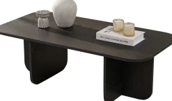 Emob Couchtisch Akira - 100% MELAMINE - Holz - 41 x 60 x 120 cm