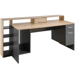 Kinder Emob Gaming-Schreibtisch Tudi inkl. Lampe - grau/holz