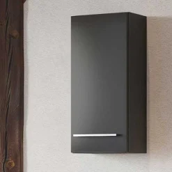 Hängeschrank Dasa 30cm 1 Tür - graphit/mattgrau
