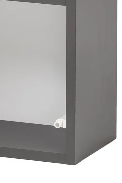 Hängeschrank Kornel/Luna 40cm 1 Tür - graphitgrau/eiche