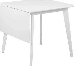 Emob Klapptisch Rover 80/120x80 cm -