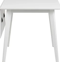 Emob Klapptisch Rover 80/120x80 cm -