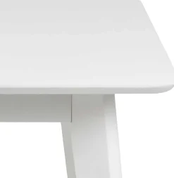 Emob Klapptisch Rover 80/120x80 cm -