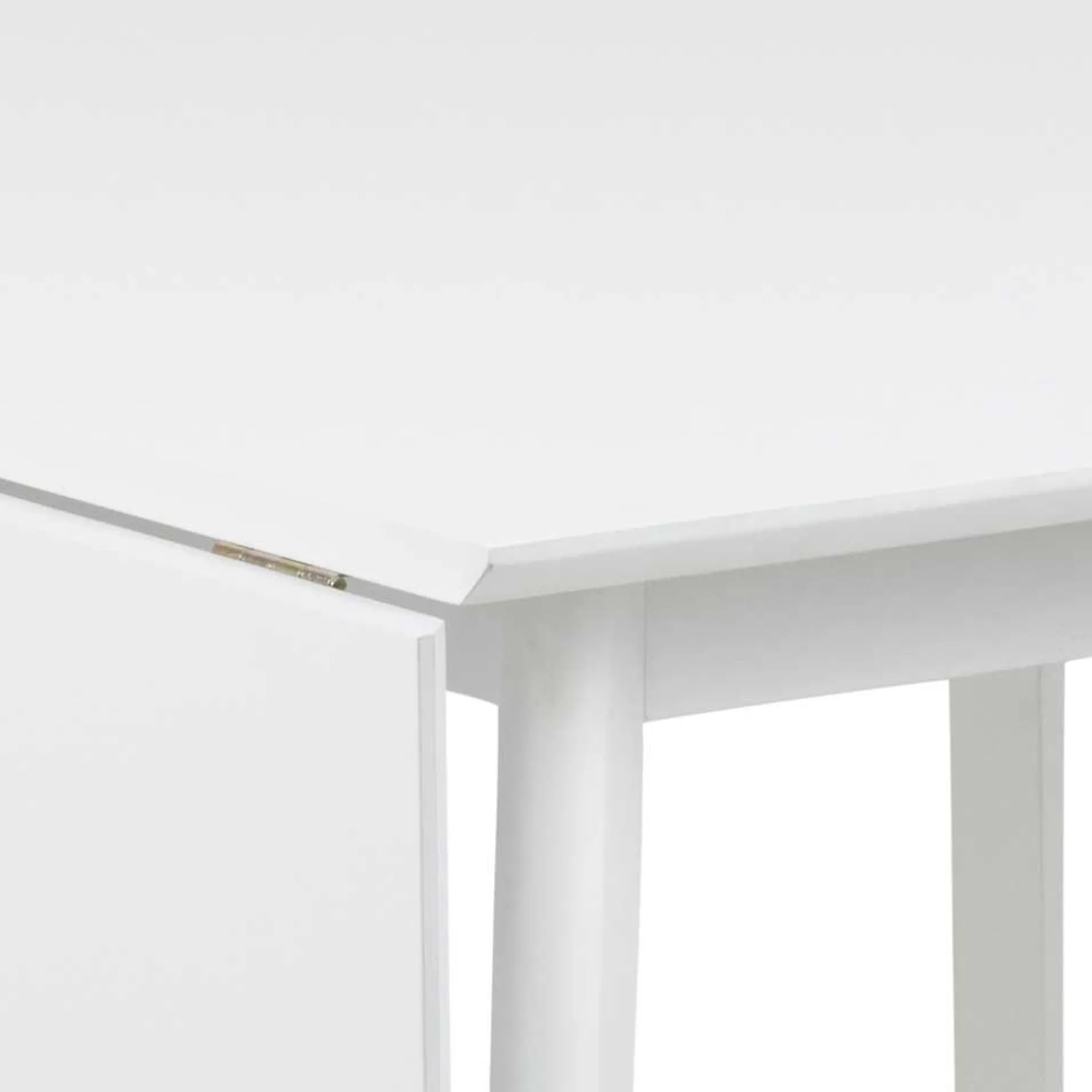 Emob Klapptisch Rover 80/120x80 cm -