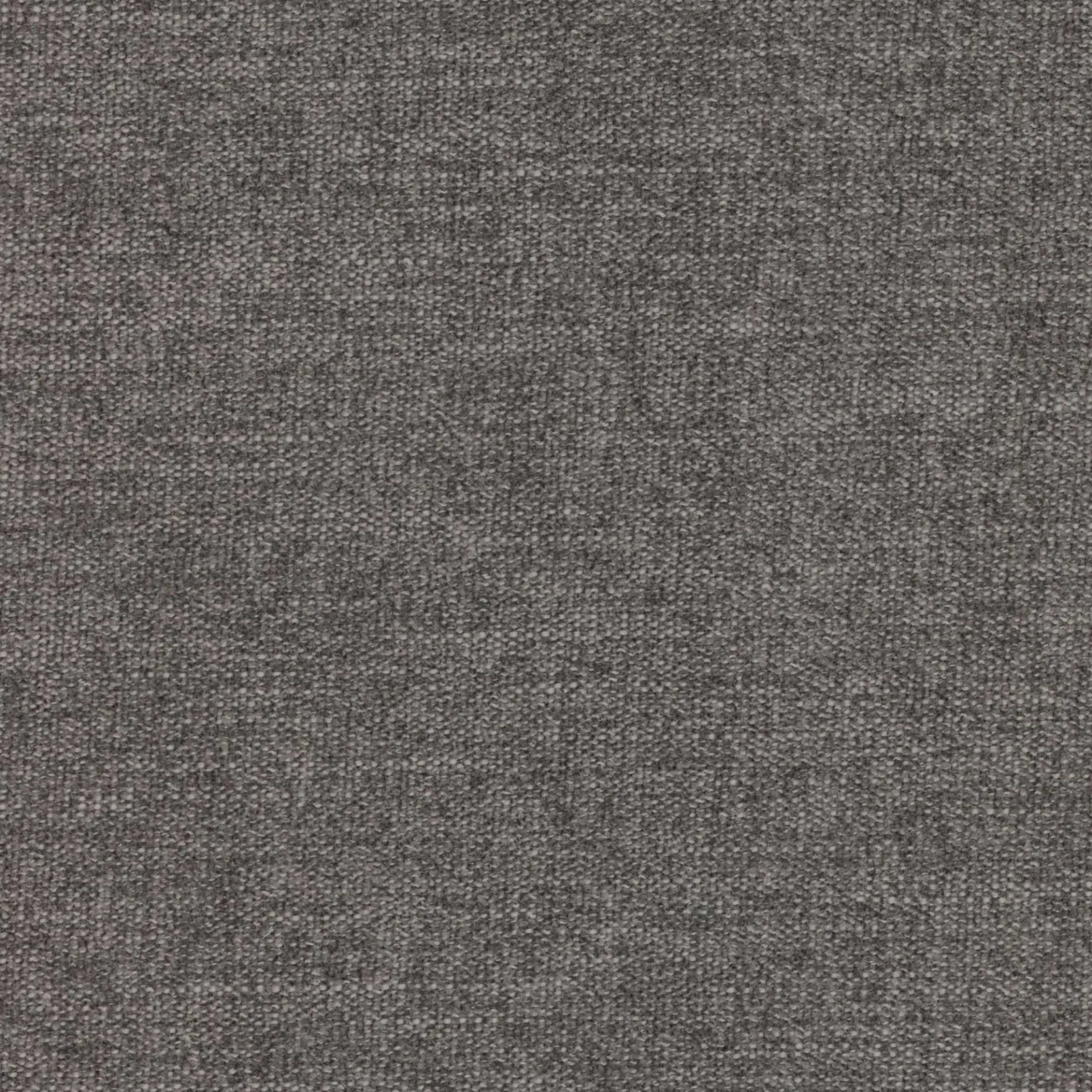 Kofferbett Ollie | 90 x 200 cm | Mit Rückenlehne | Grau