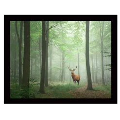 Emob Marvellous Dekoratives gerahmtes MDF-Gemälde | Holzrahmen | 41 x 56 cm