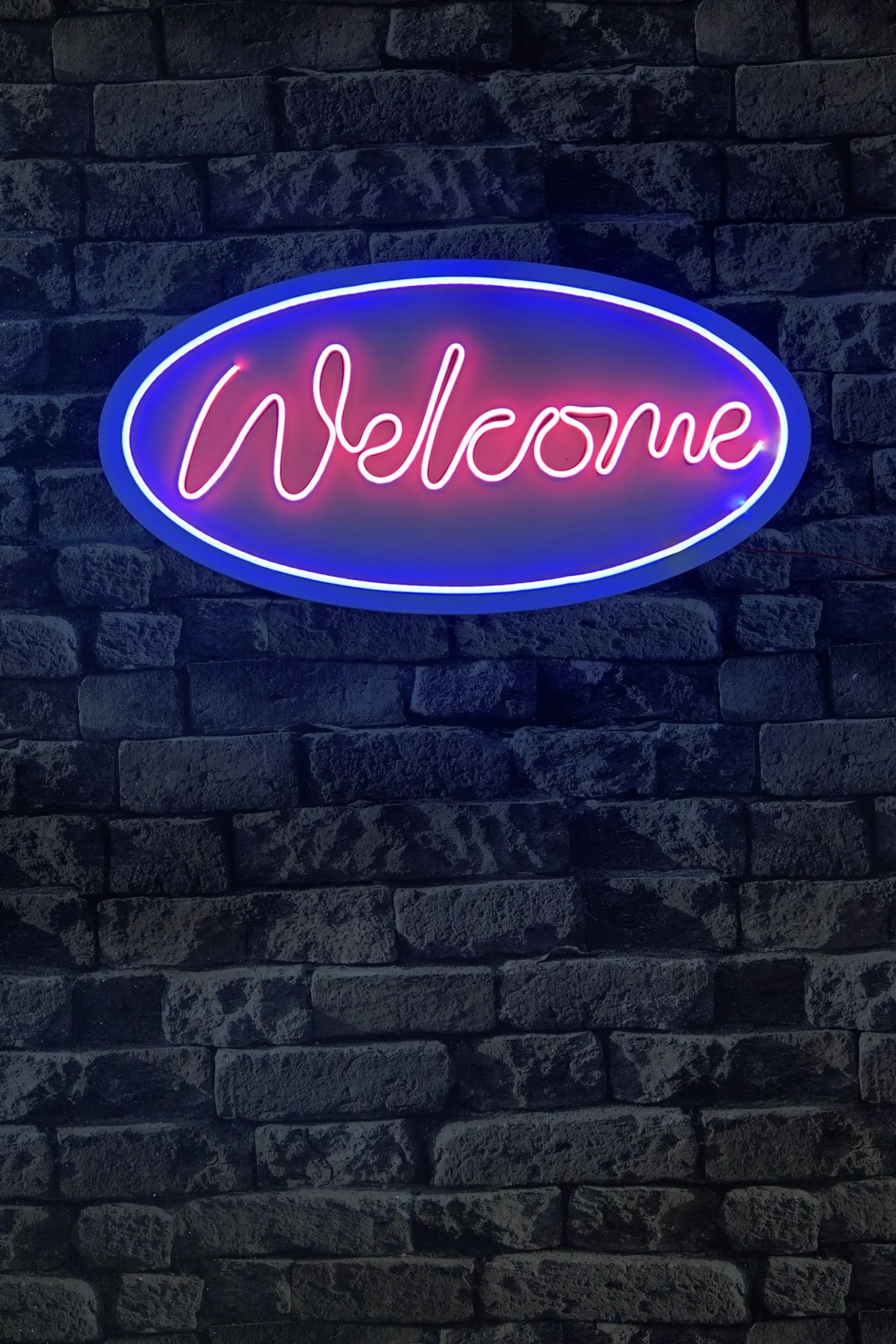 Emob Neon Graph Dekorative LED-Beleuchtung aus Kunststoff | Blau & Rosa | 29 x 58 x 2 cm