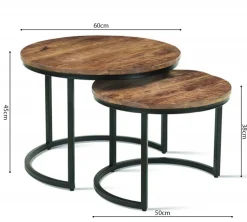 Rousseau Satz von 2 Couchtischen Gaja-Magnolienholz