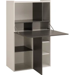 Parisot Schrank Flip 2 Türen - grau/weiß