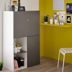 Parisot Schrank Flip 2 Türen - grau/weiß