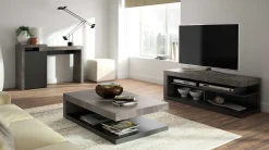 Temahome Schreibtisch Delta