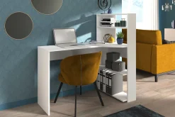 Parisot Schreibtisch Mister
