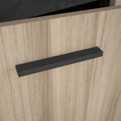 Shane Vitrine 4 Flügeltüren und 2 Einlegeböden-Kronberg Eiche/Sidewalk schwarz