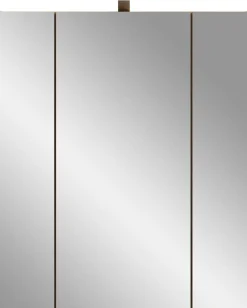 Spiegelschrank Ice Xonox Artisan Oak 60x70x18 cm mit Beleuchtung