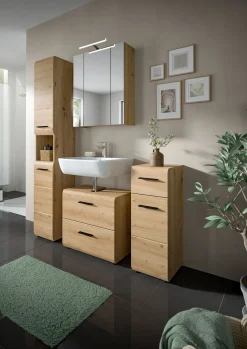 Spiegelschrank Ice Xonox Artisan Oak 60x70x18 cm mit Beleuchtung