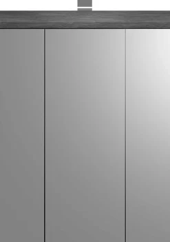 Spiegelschrank Scout Xonox - mit Beleuchtung - 60x79x18 cm - Smoke Silver/Weiß