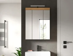 Spiegelschrank Scout Xonox - Sage Grün & Artisan Eiche - 60x79x18 cm