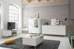 TV-Schrank Göteborg