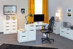 Vitrinenschrank Collecty - schwarz/weiß