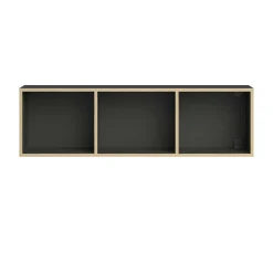Wade Wandregal 120x20x35cm - anthrazit